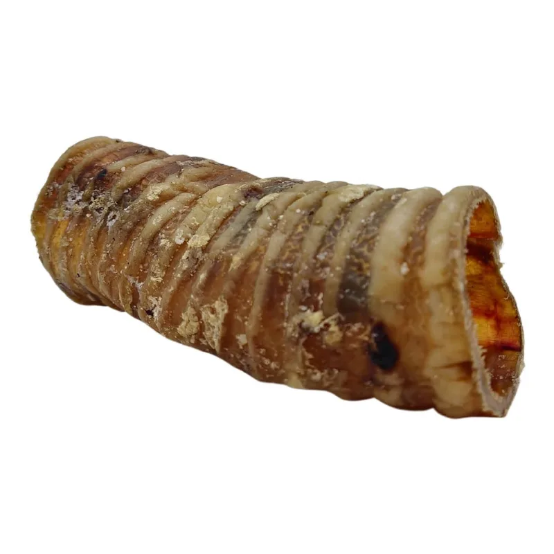 6" Beef Trachea Dog Treat - All-Natural Dog Chews (25/Bag)