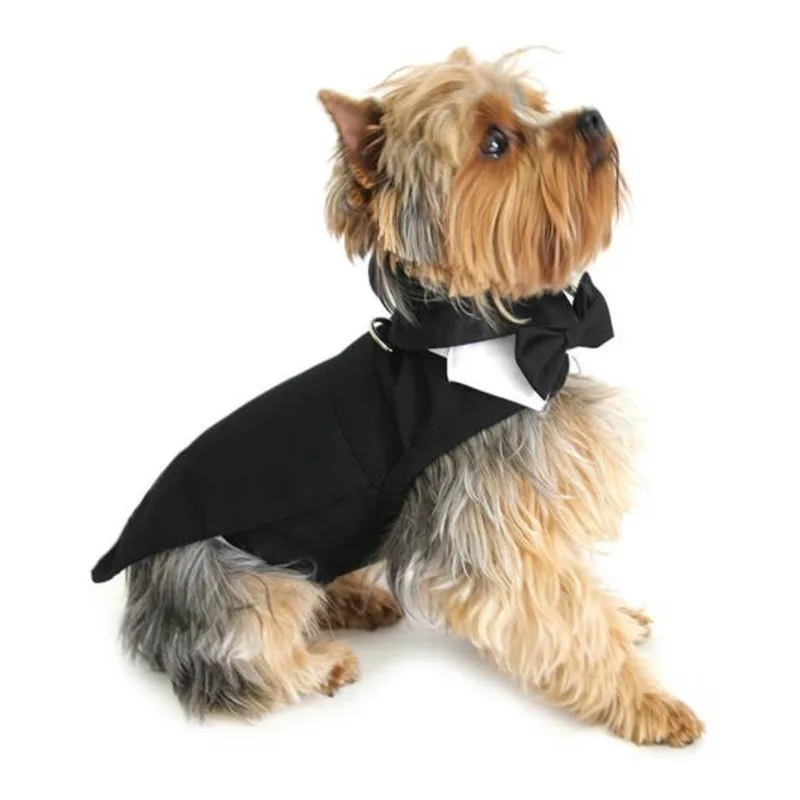 Black Dog Harness Tuxedo W/Tails, Bow Tie, and Collar