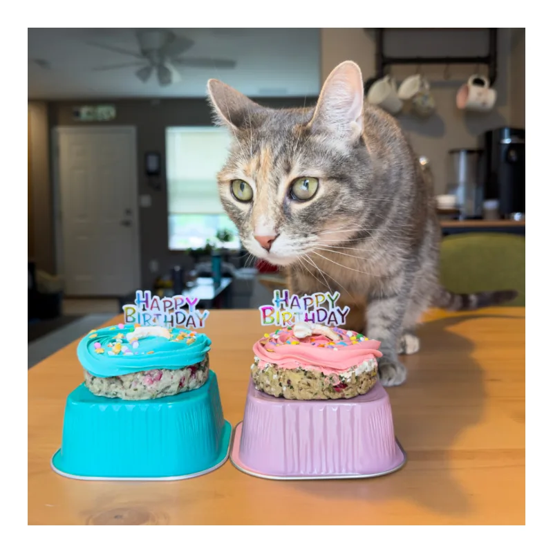 Cat Treats