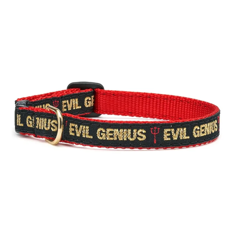 Evil Genius Cat Collar