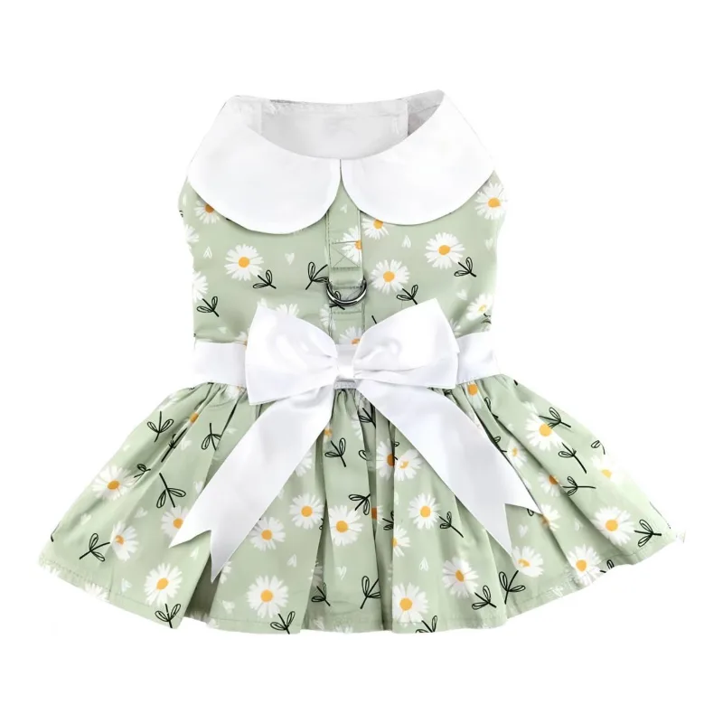 Mint Green Daisy Dog Dress with Matching Leash
