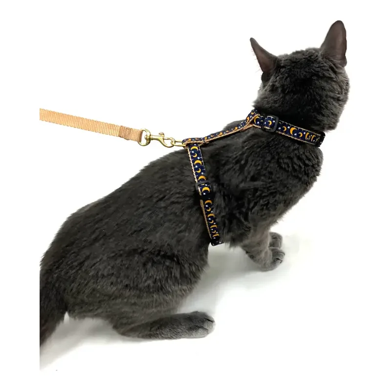 Stella & Luna Cat Harness Set