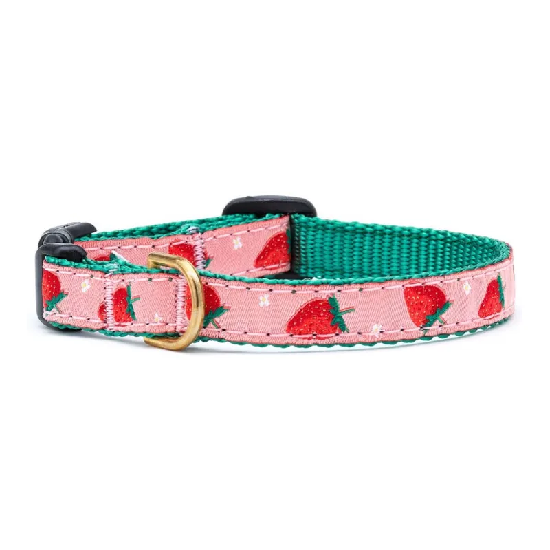 Strawberry Fields Cat Collar