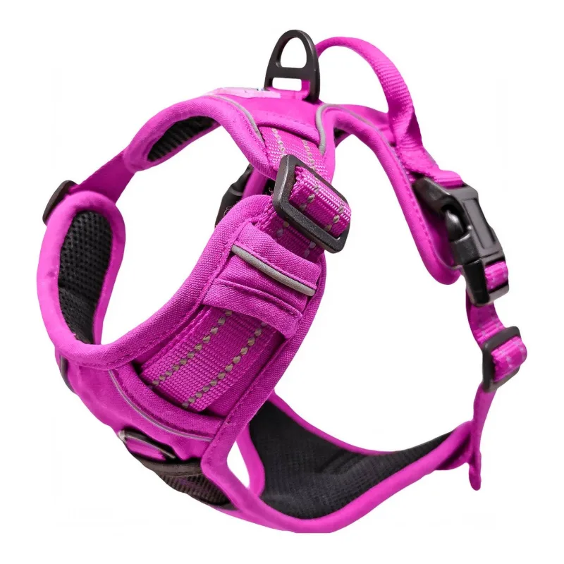 Venture Paw Dog Harness - Wild Raspberry