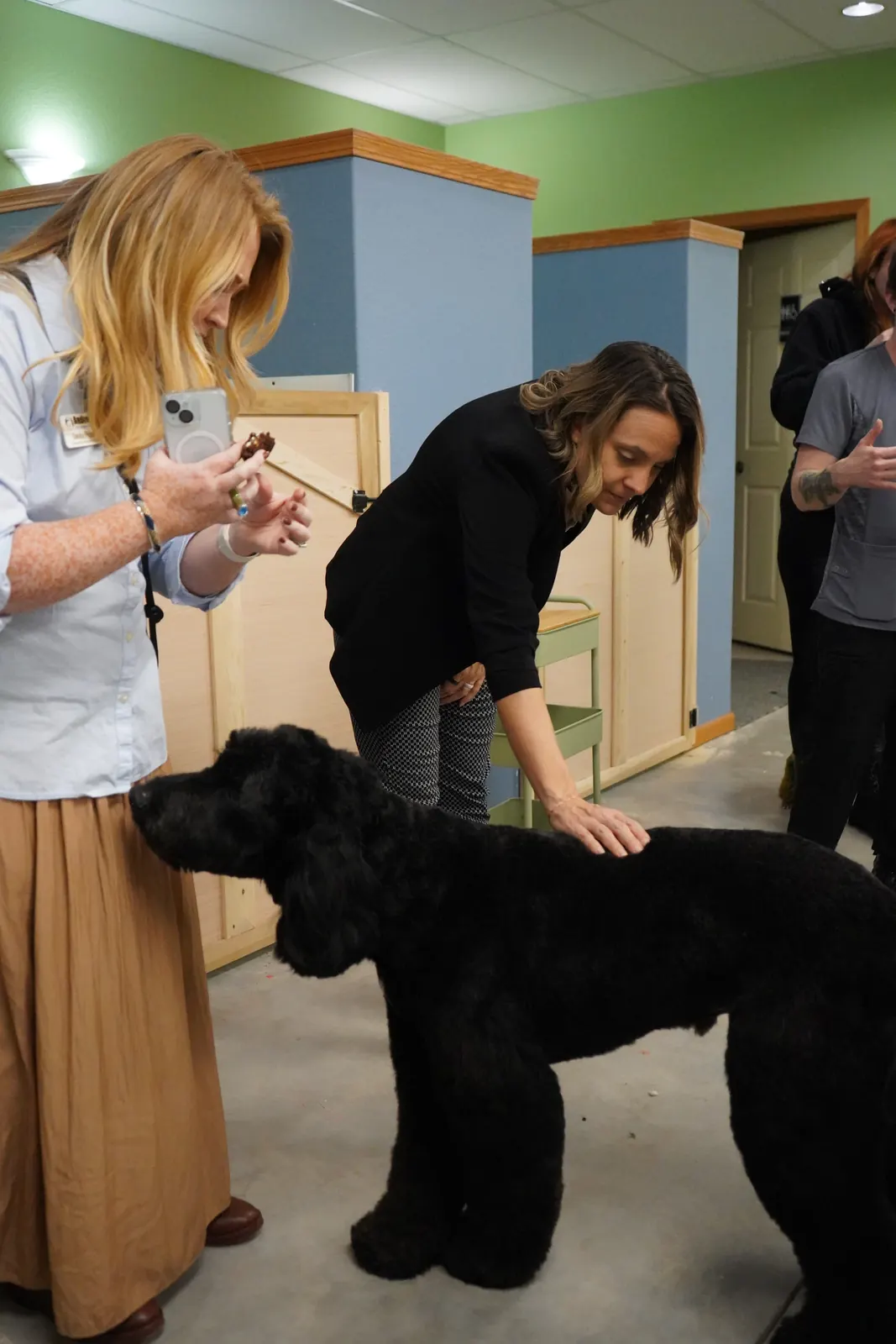 Guests greeting a big black doodle inside the salon