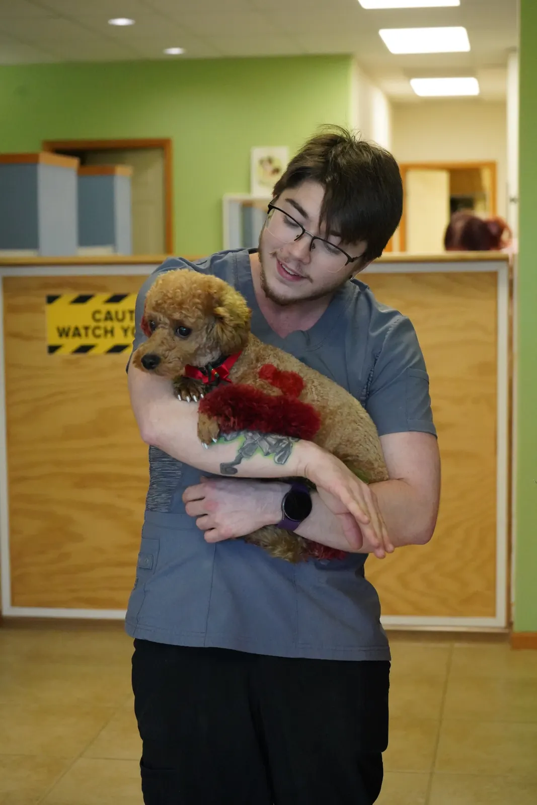 Groomer holding a fluffy apricot puppy