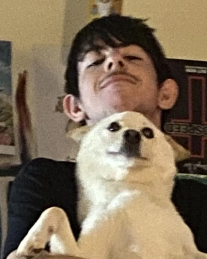 Gabe Rodgers, Reception, Groomer’s Apprentice